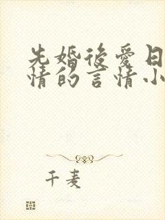 先婚后爱日久生情的言情小说封面