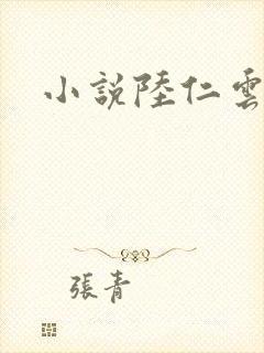 小说陆仁云青瑶