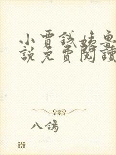 小贾钱姨鲁姨小说免费阅读