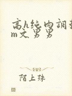 高h纯肉调教sm文男男封面