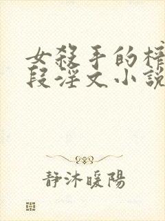 女杀手的榨精手段淫文小说在线阅读封面