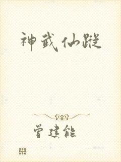 神武仙踪封面