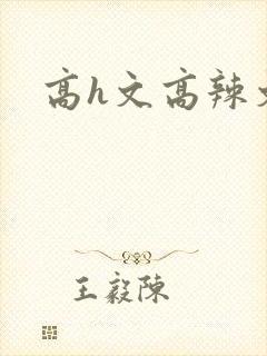 高h文高辣文