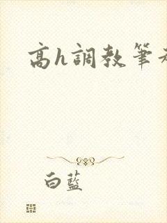 高h调教笔趣阁封面