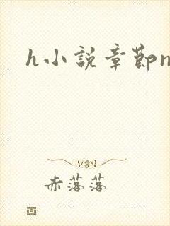 h小说章节np
