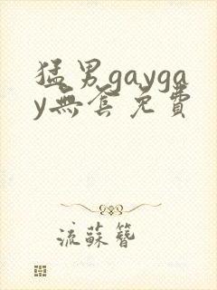 猛男gaygay无套免费