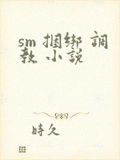 sm 捆绑 调教 小说