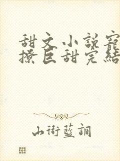 甜文小说宠文巨撩巨甜完结封面