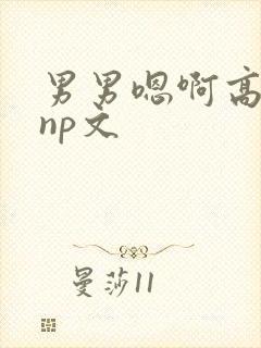 男男嗯啊高h黄np文