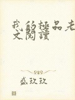 我的极品老婆全文阅读封面