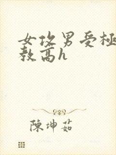 女攻男受极限调教高h