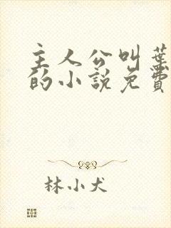 主人公叫叶北辰的小说免费阅读全文封面
