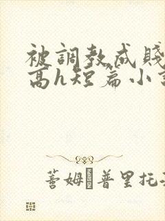 被调教成贱奴的高h短篇小说推荐