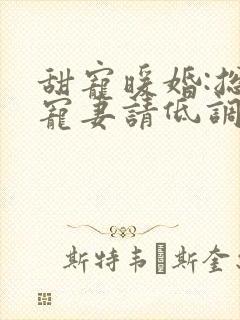 甜宠暖婚:总裁宠妻请低调 小说