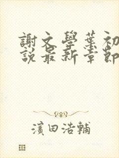 谢文学叶初瑗小说最新章节免费阅读封面