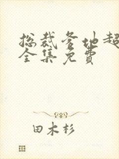 总裁爹地超给力全集免费