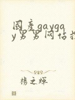 国产gaygay男男网站搜索