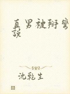 直男被掰弯的小说