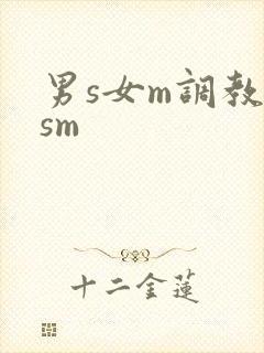 男s女m调教(sm