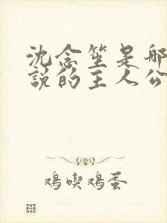 沈念笙是哪本小说的主人公