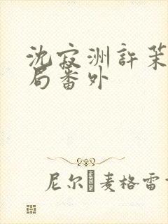 沈寂洲许茉大结局番外