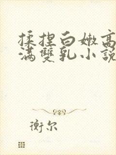 揉捏白嫩高耸饱满双乳小说封面