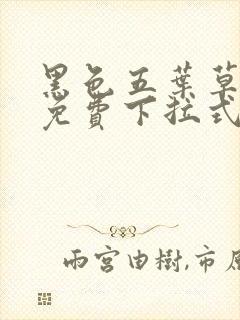 黑色五叶草漫画免费下拉式