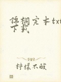 锦桐完本txt下载封面