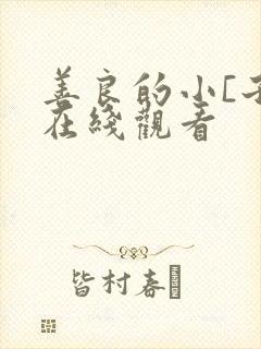 善良的小[子5在线观看封面