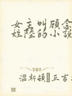 女主叫顾念男主姓陆的小说