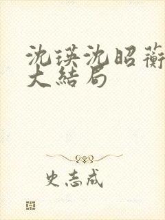 沈瑛沈昭蘅后续大结局