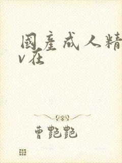 国产成人精品av在