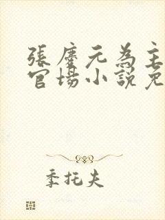 张庆元为主角的官场小说免费阅读