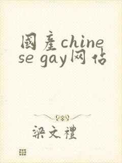 国产chinese gay网站