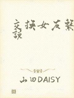 交换女友系列小说