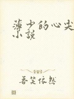 薄少的心尖宠儿小说封面
