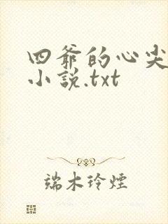 四爷的心尖宠妃小说.txt
