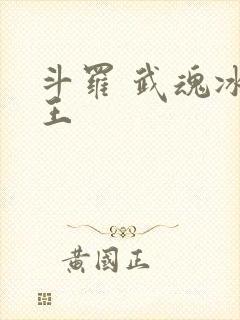 斗罗 武魂冰龙王