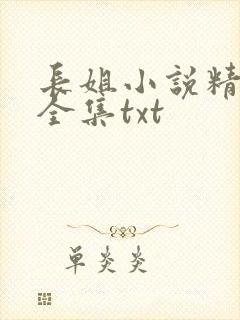 长姐小说精校版全集txt