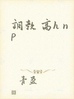 调教 高h np