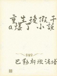 重生后假千金她a爆了 小说封面