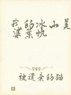 我的冰山美女老婆叶帆
