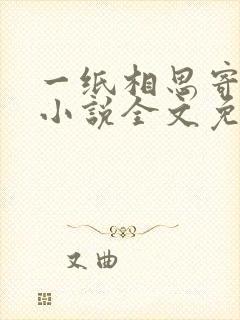 一纸相思寄远川小说全文免费阅读封面