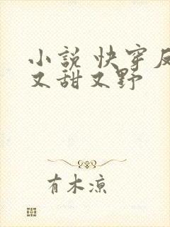 小说 快穿反派又甜又野