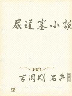 尿道塞小说