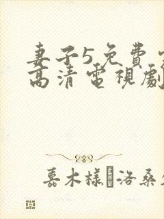 妻子5免费完整高清电视剧