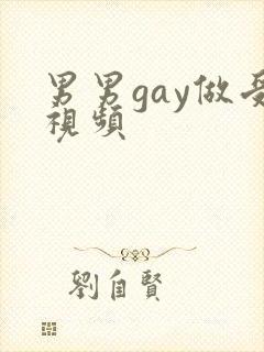 男男gay做受视频