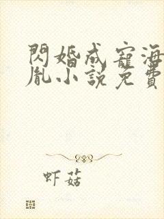 闪婚成宠海彤战胤小说免费阅读封面