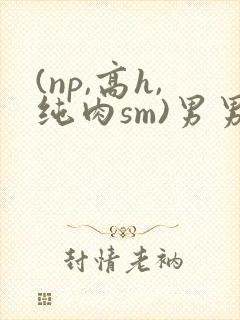 (np,高h,纯肉sm)男男
