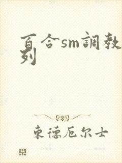 百合sm调教系列